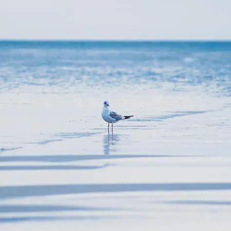 Lejlighed Nadmorskie Tarasy A 406 *