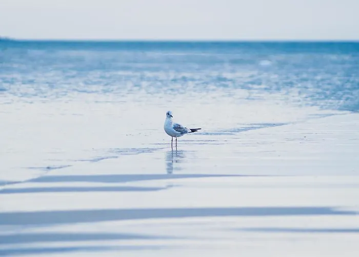 Appartement Nadmorskie Tarasy A 406 *